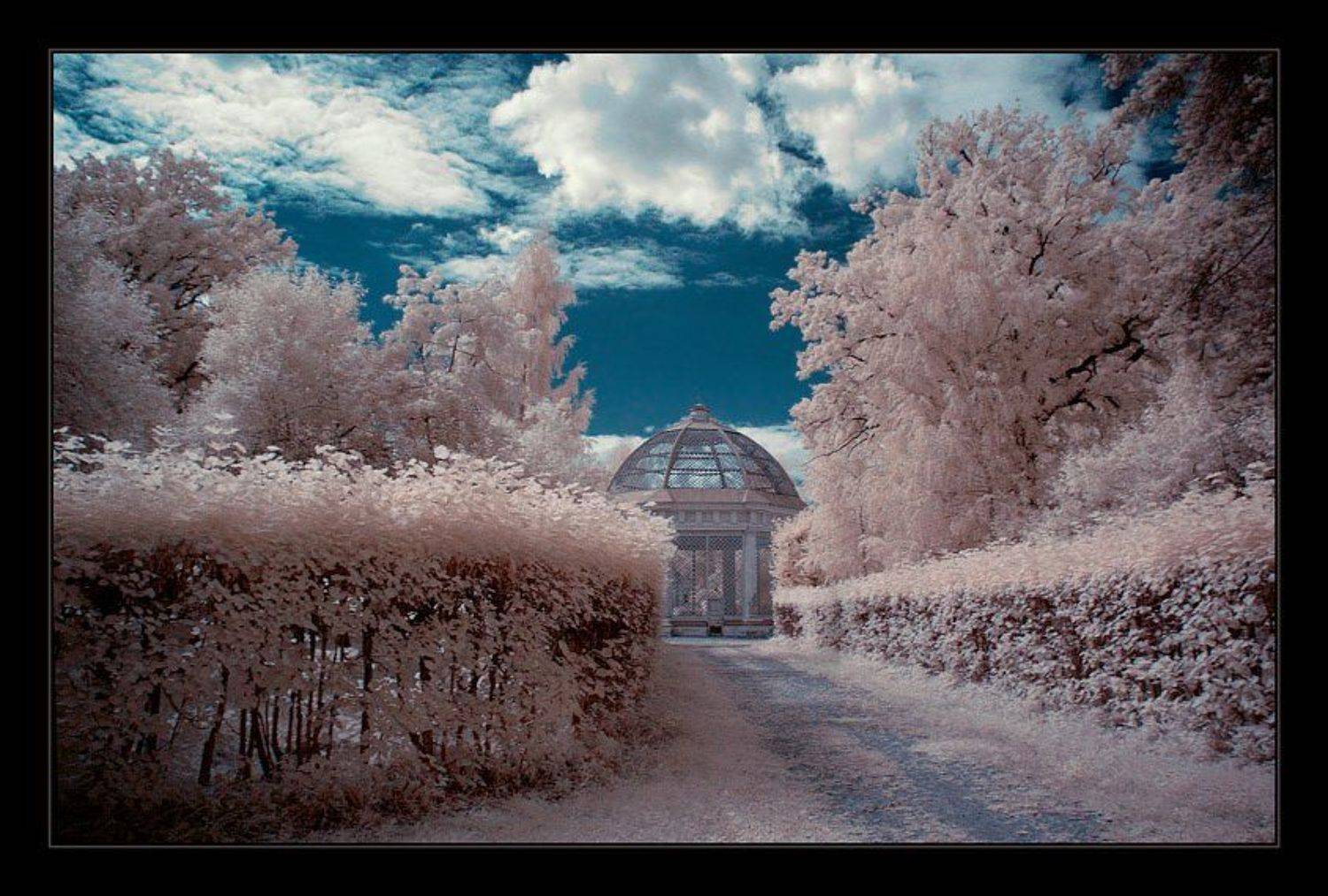 ик, infra red, инфракрасная съемка, кусково, Капустин Николай