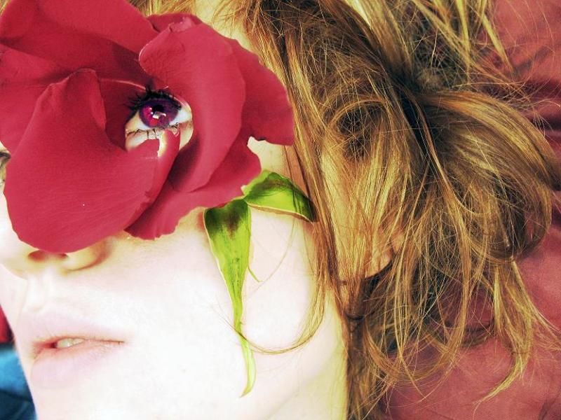 Flower bed фото превью