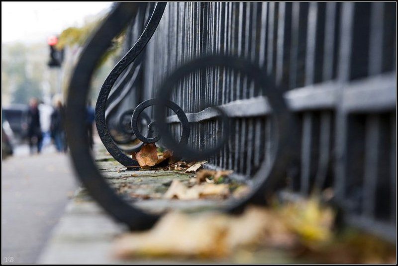 петербург, осень  фото превью