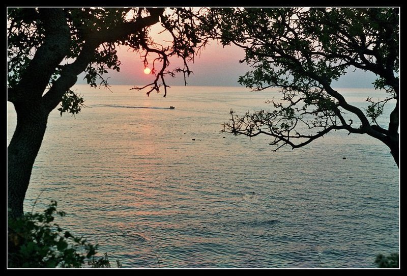 Утриш, как он есть... фото превью