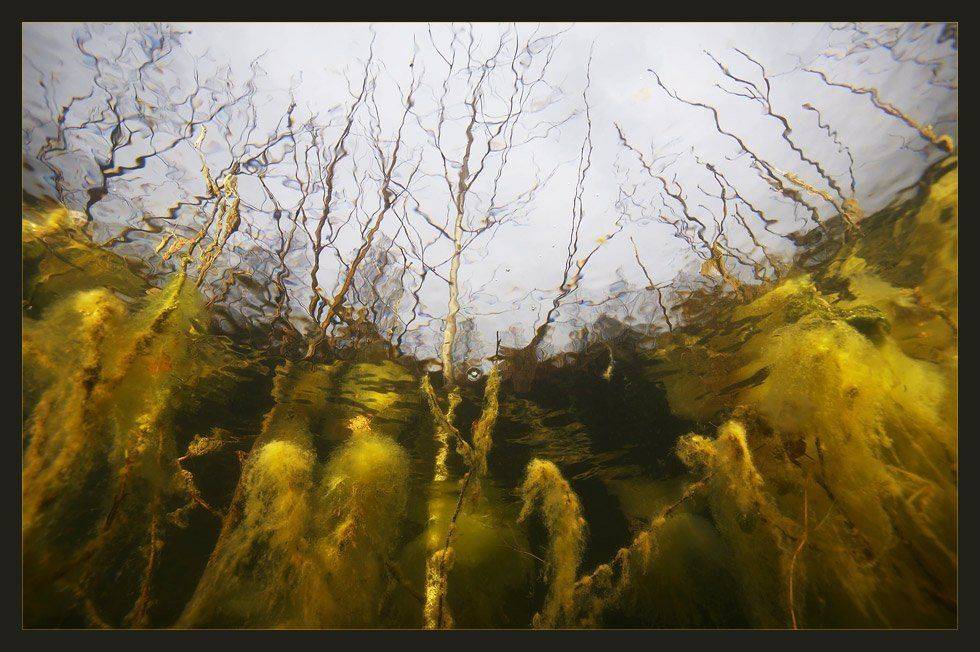 , Марина Кочетова