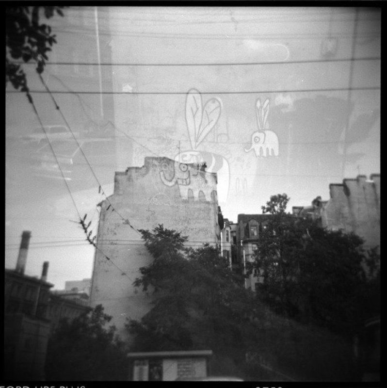 holga холга перелётные слоны ?  о с е н н е е е . . . фото превью
