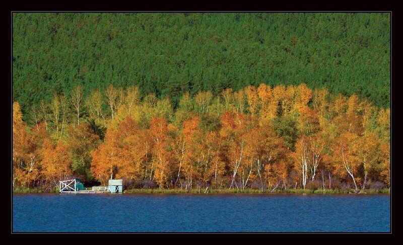 осень, деревья, вода, листья, забайкалье Firewall фото превью