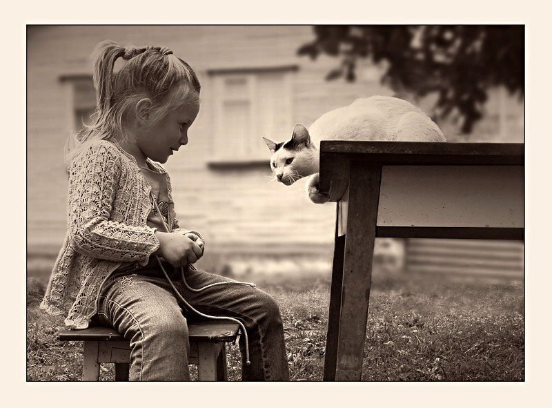 аня дочка кошка  фото превью