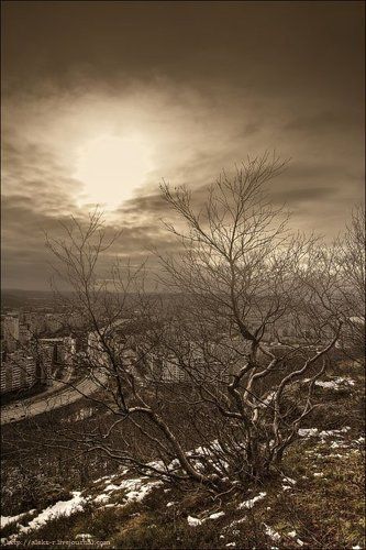 Про неначавшуюся зиму.