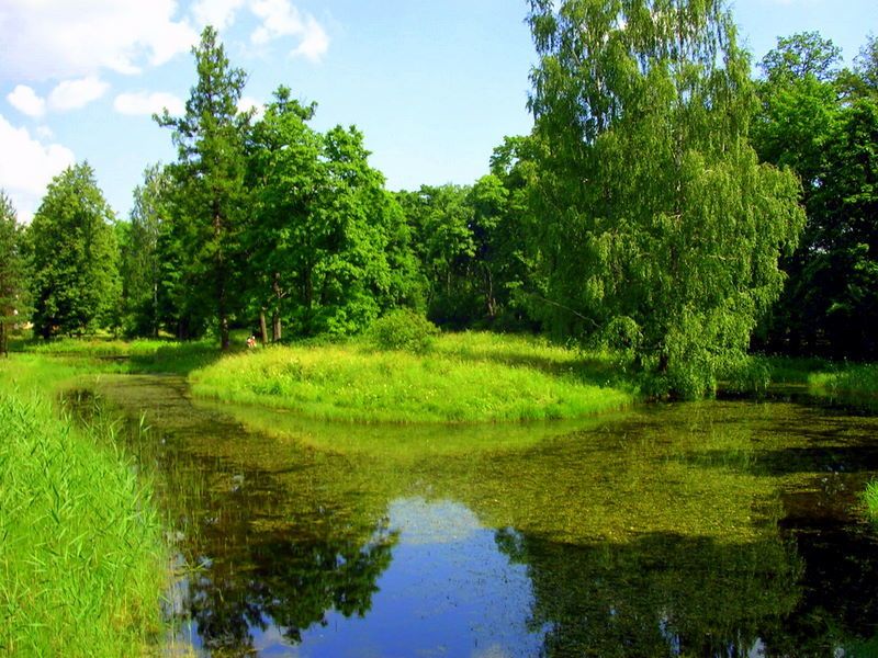 пушкино озеро тишины фото превью