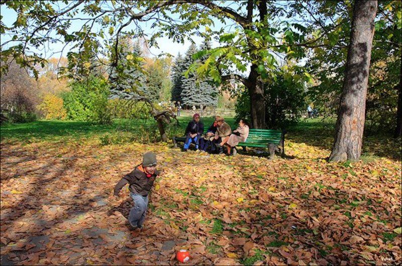 осень, листья, ребенок Молодые фото превью