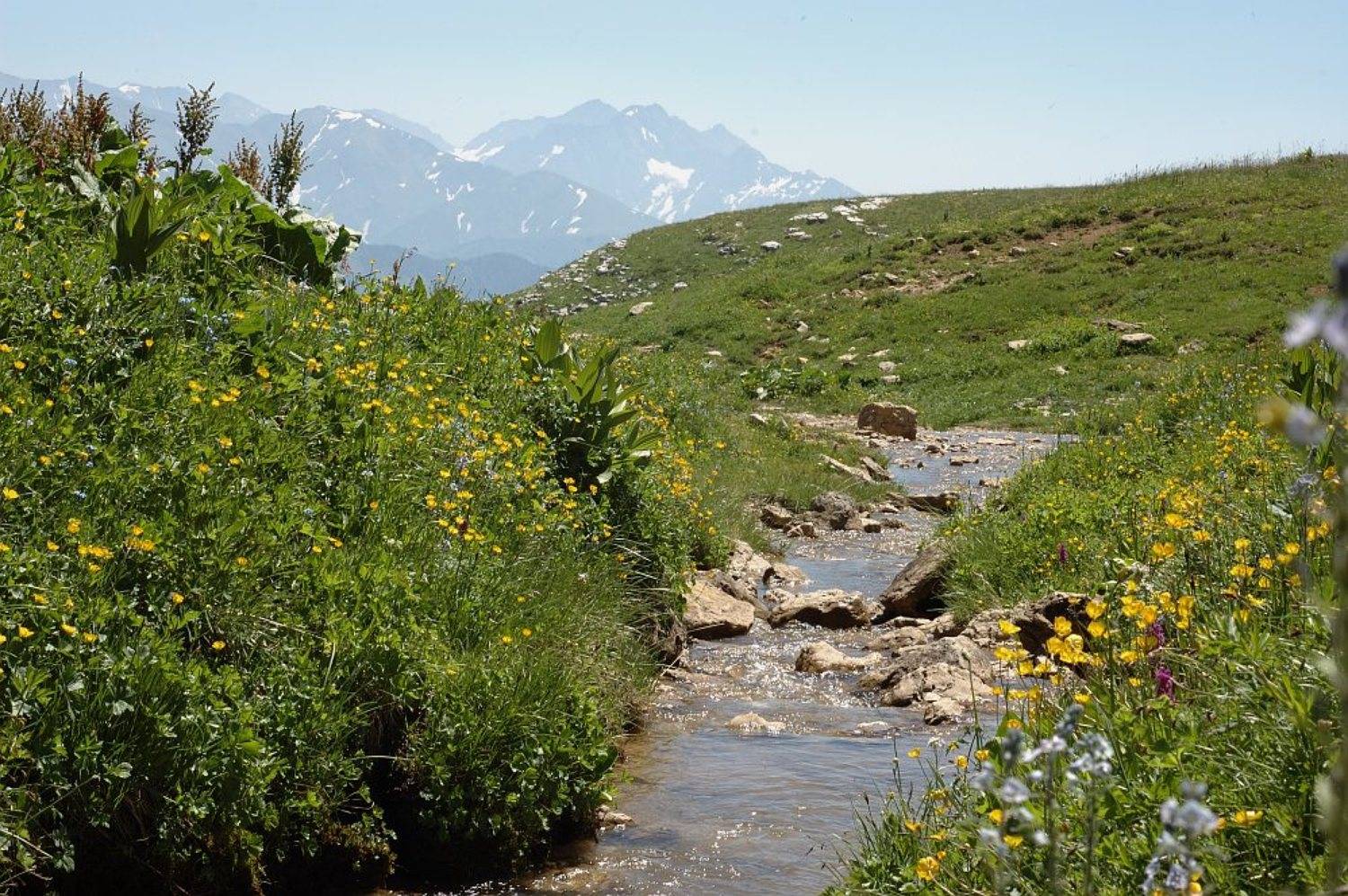 пейзаж, горы, адыгея, субальпика, ручеёк, гкх, Kaiser Sozo