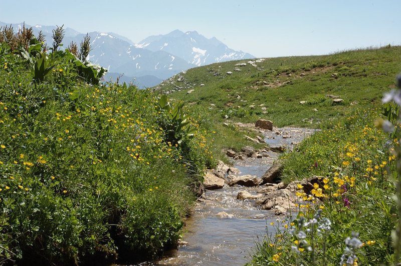 пейзаж, горы, адыгея, субальпика, ручеёк, гкх Инструкторская щель фото превью