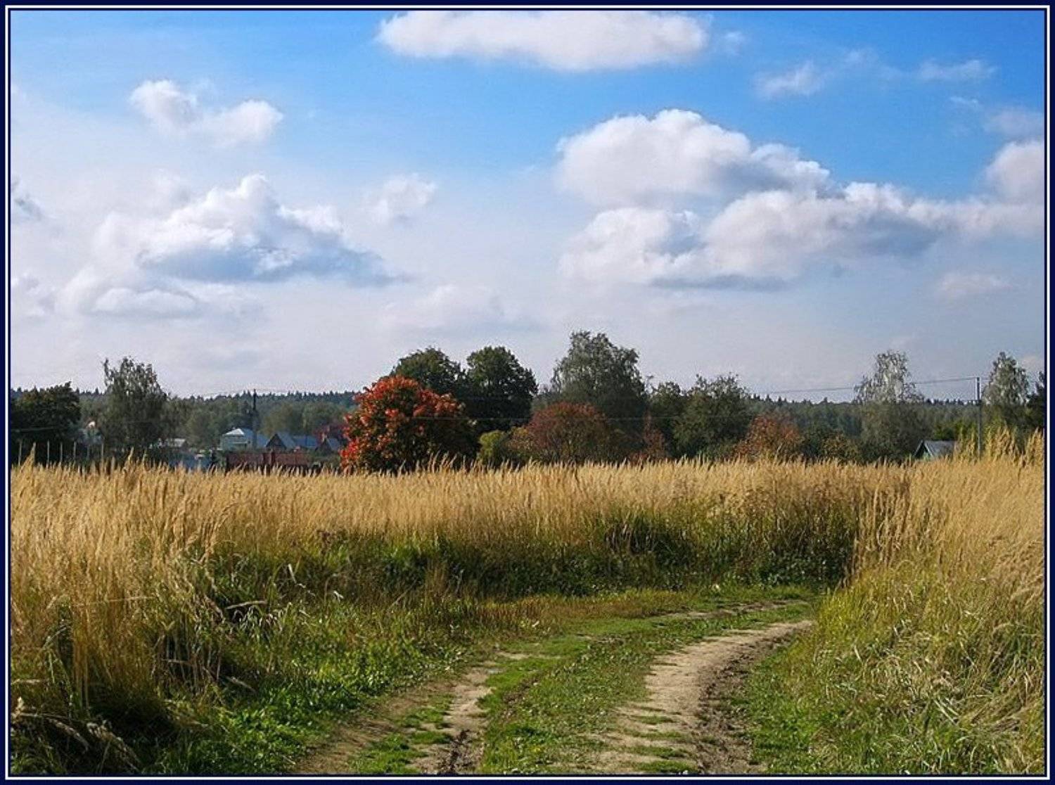 осень, дорога, Алёна