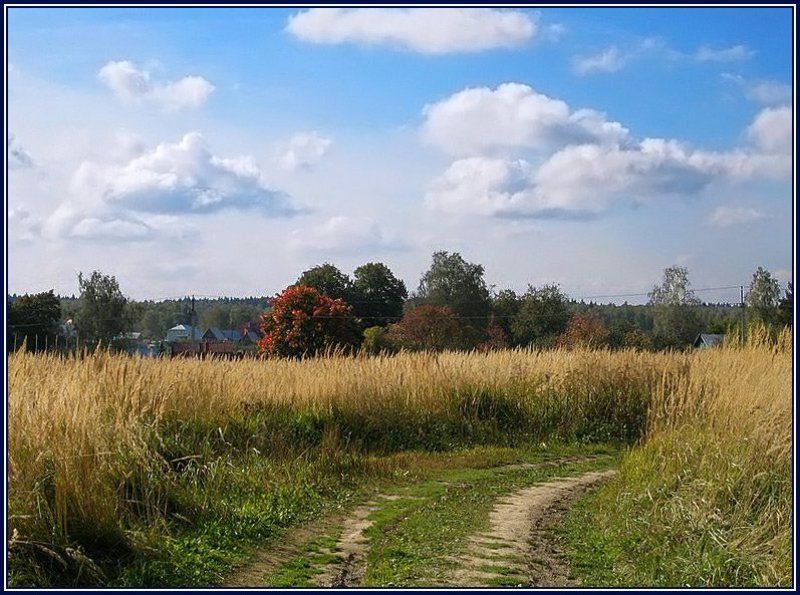 осень, дорога И всё таки осень фото превью