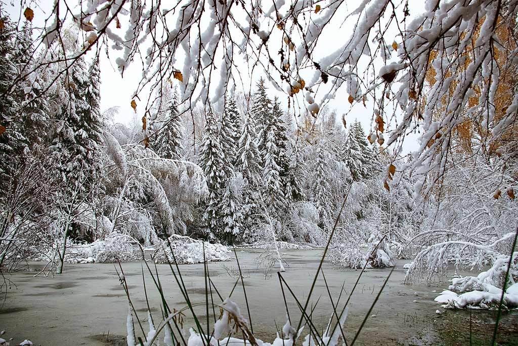 старая, волоколамская, дорога, озеро, Александр Абалихин