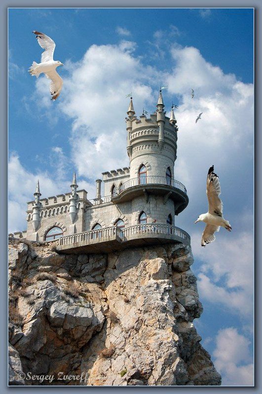 чайки Ласточкино гнездо фото превью