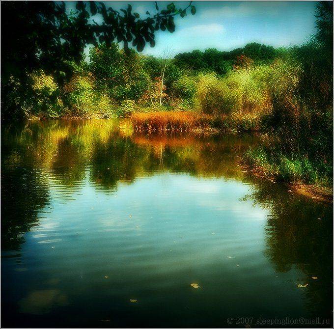 пейзаж, пленка, средний формат, ciro-flex, антикварная камера, pilgrim, Pilgrim