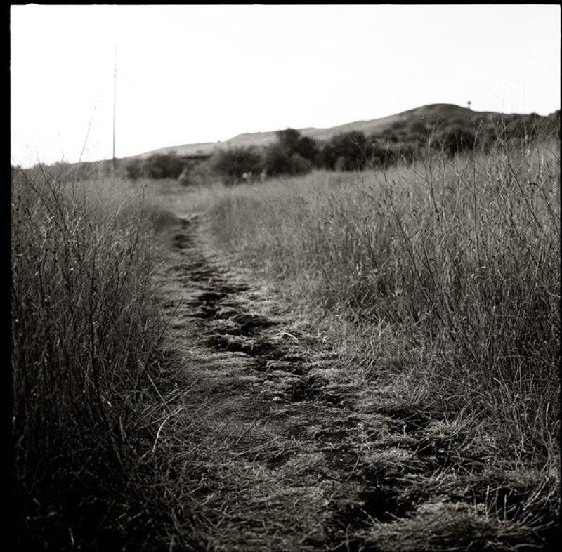 земля, треснула * фото превью