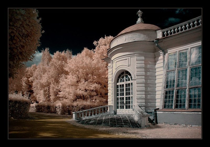 ик, infra red, инфракрасная съемка, кусково Кусково. ИК. Каменная оранжерея II фото превью