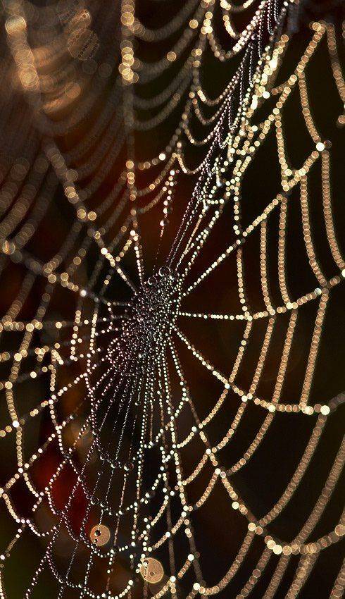 , Марина Кочетова