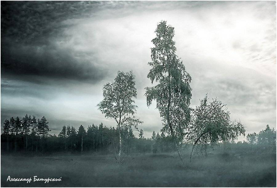 пейзаж, лес, осень, Александр Батурский