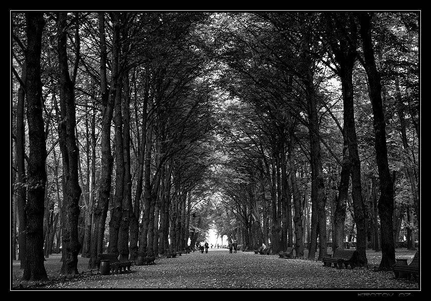 санкт-петербург, летний сад, осень., iluxom