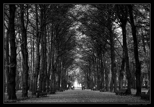 Осень в Летнем