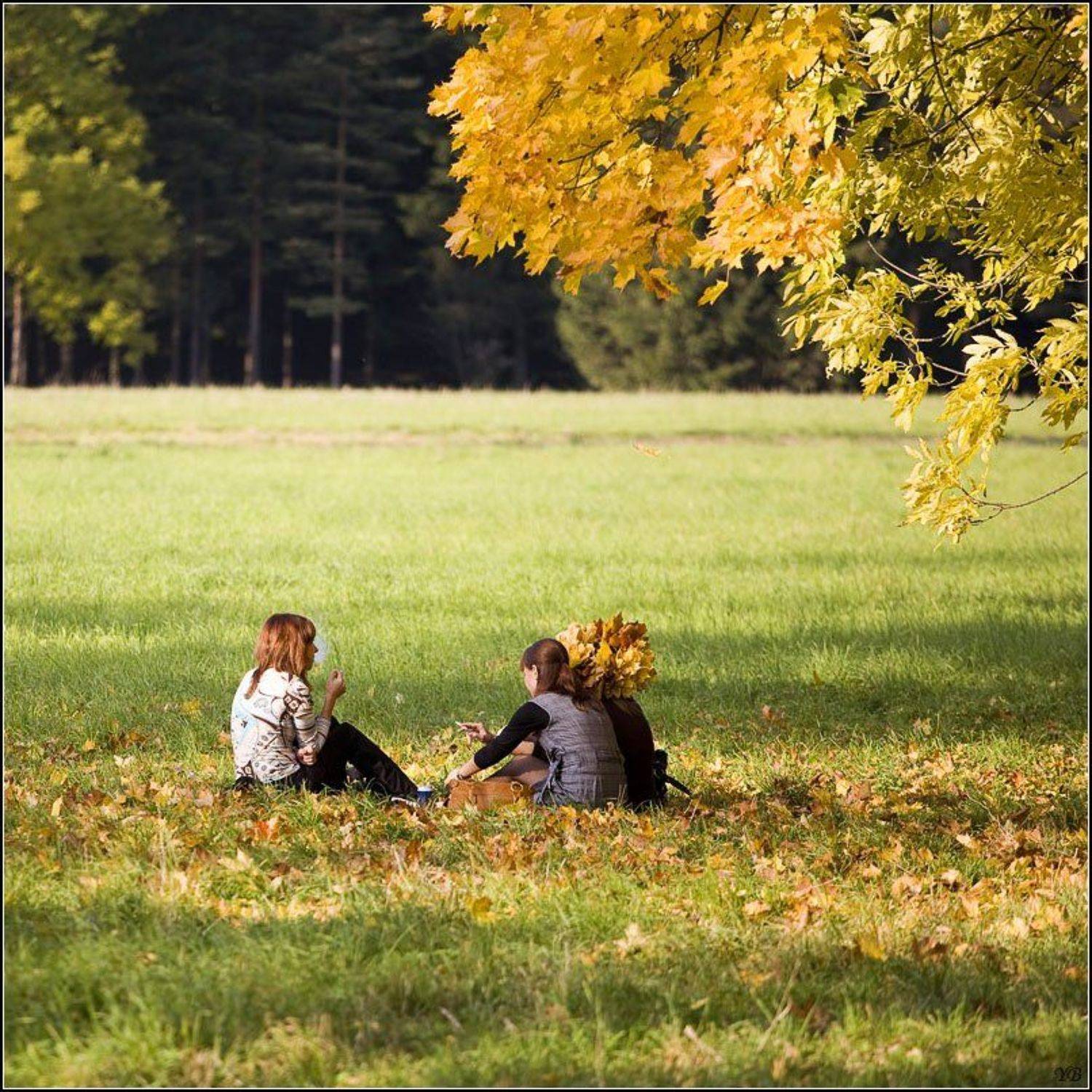 осень,пушкин, Братаев Юра