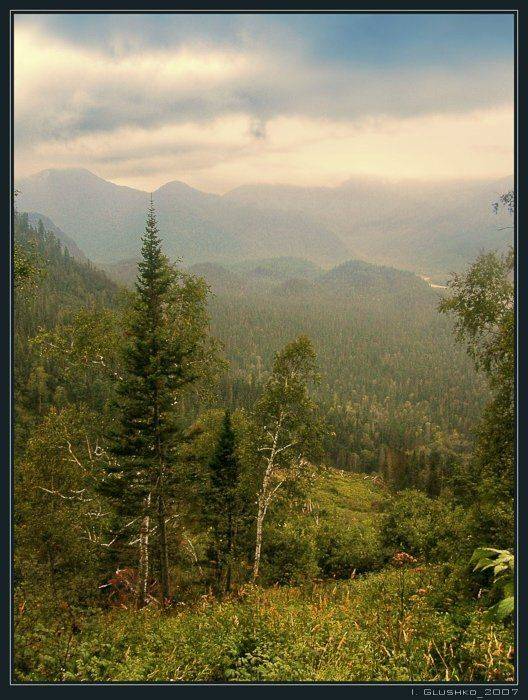 тайга прибайкалье, Игорь Глушко