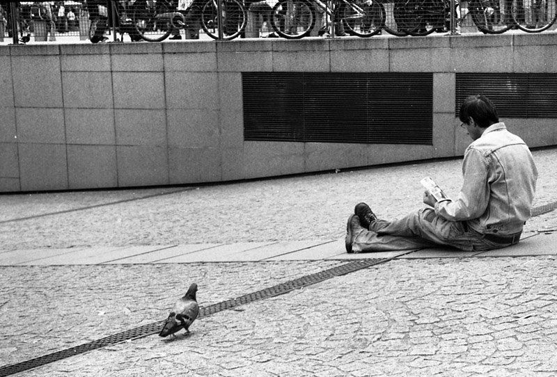 париж, город, человек, голубь двое в Париже фото превью