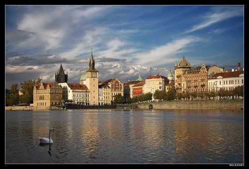 Prague #8 (c птицей :))