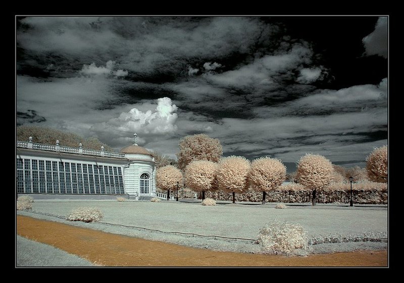 ик, infra red, инфракрасная съемка, кусково Кусково. ИК. Каменная оранжерея III фото превью