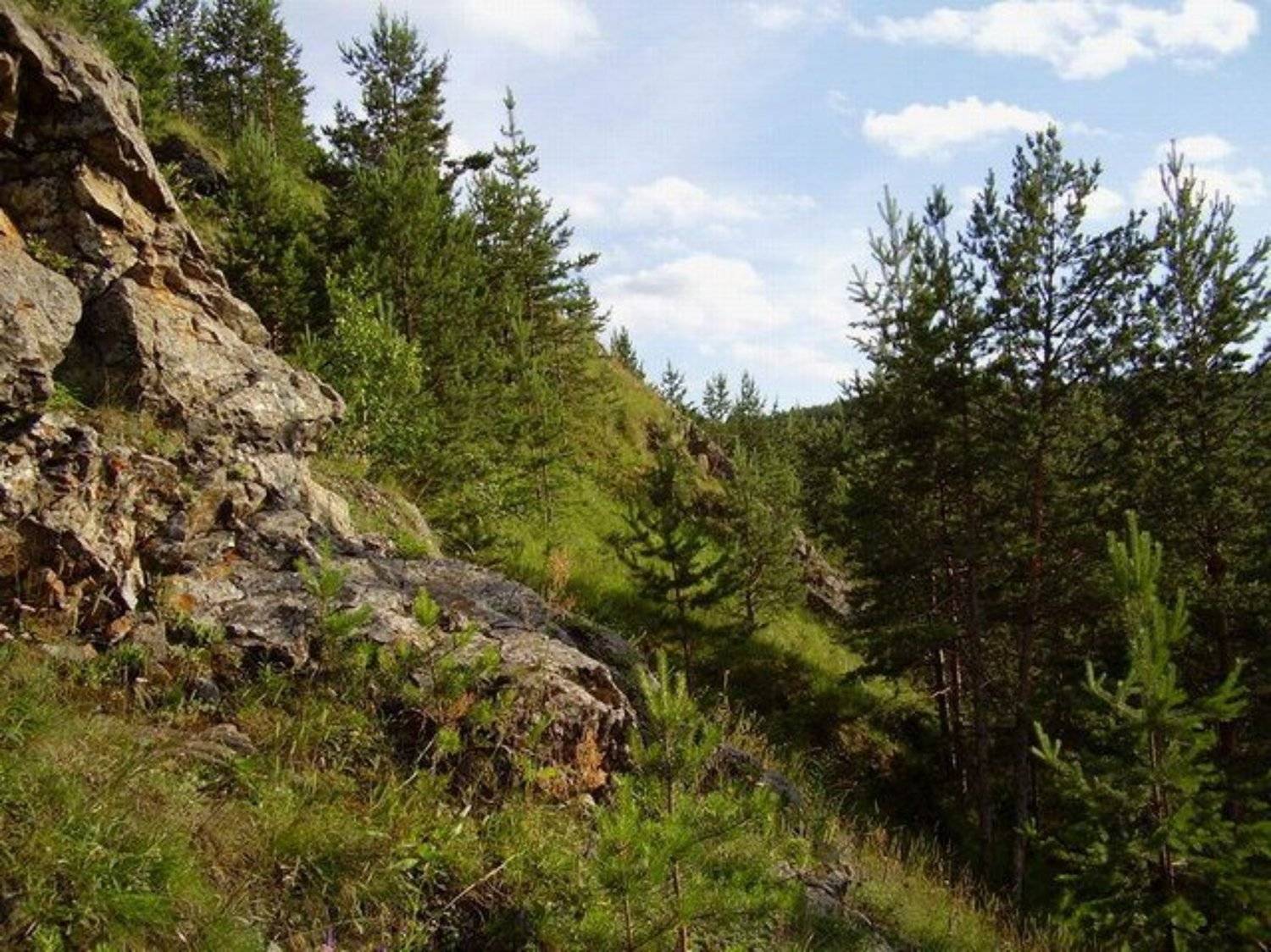 гора, лето, лес, Наталья Герасименко