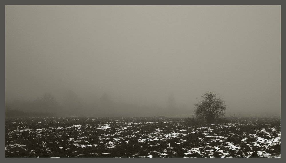 , Сергей Прокошин