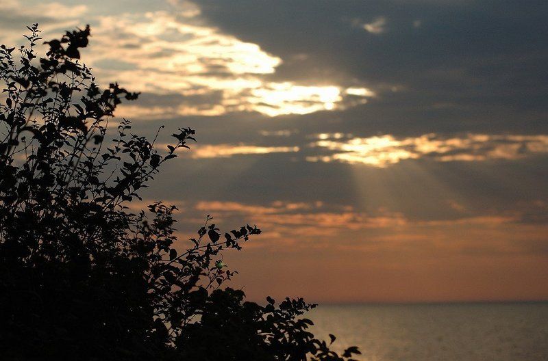 *** фото превью