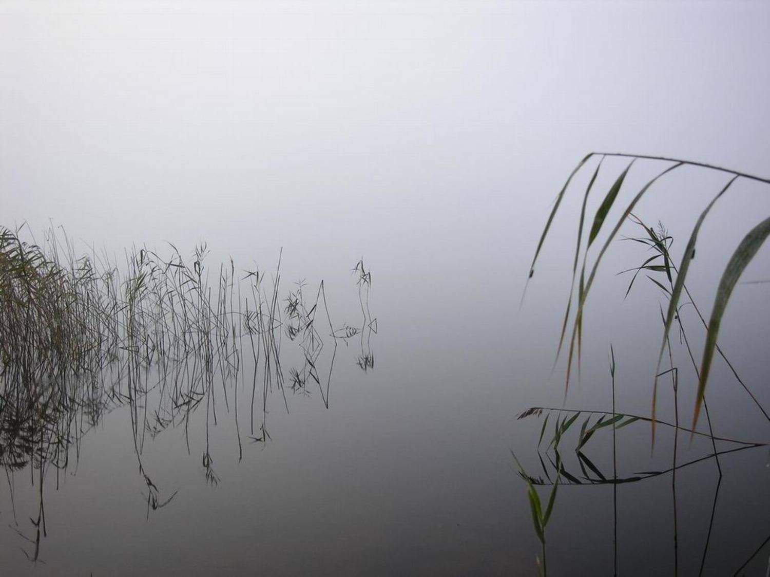 туман, озеро, осень, Tatiana Rozanova