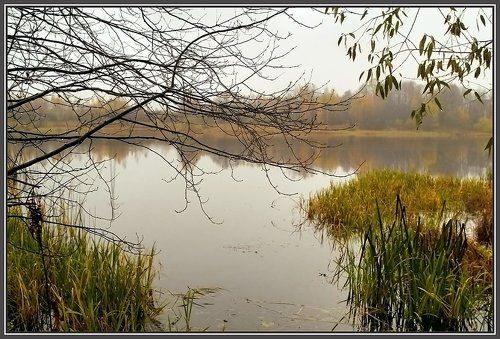 Осень в октябре