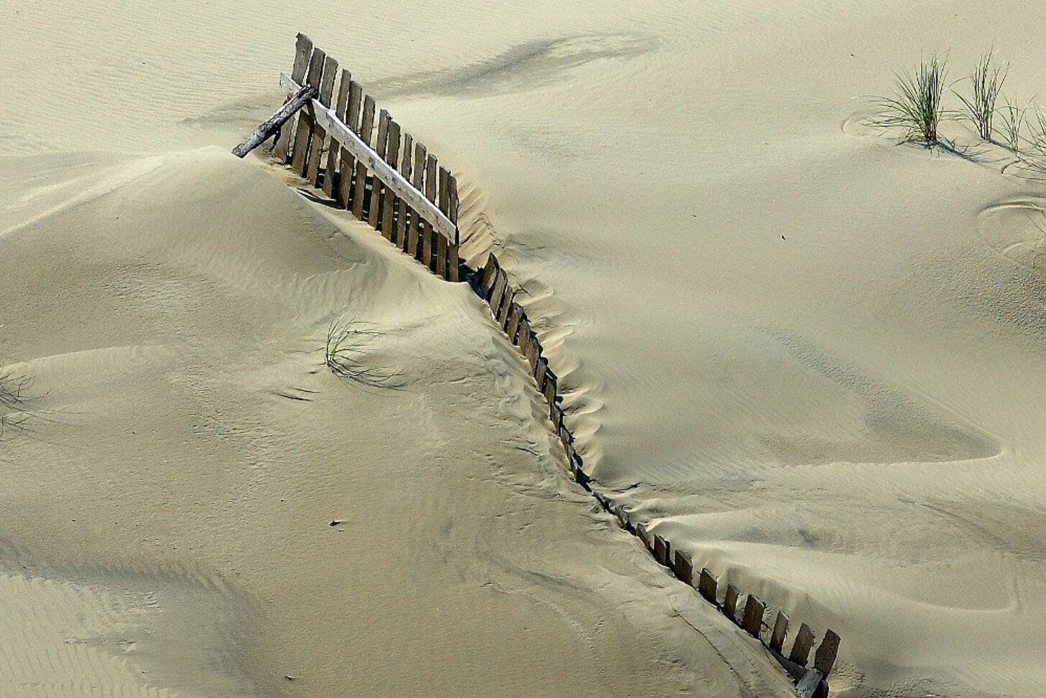 пейзаж, пески, дюны, борьба со стихией, балтика, куршская коса, Kaiser Sozo