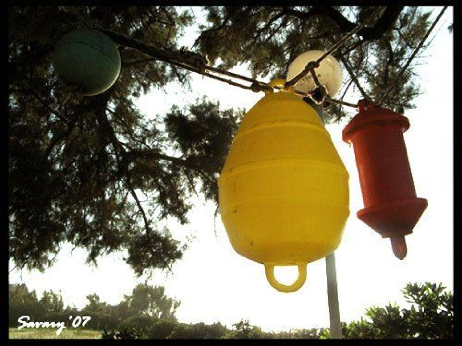 crete, Olga Koroleva