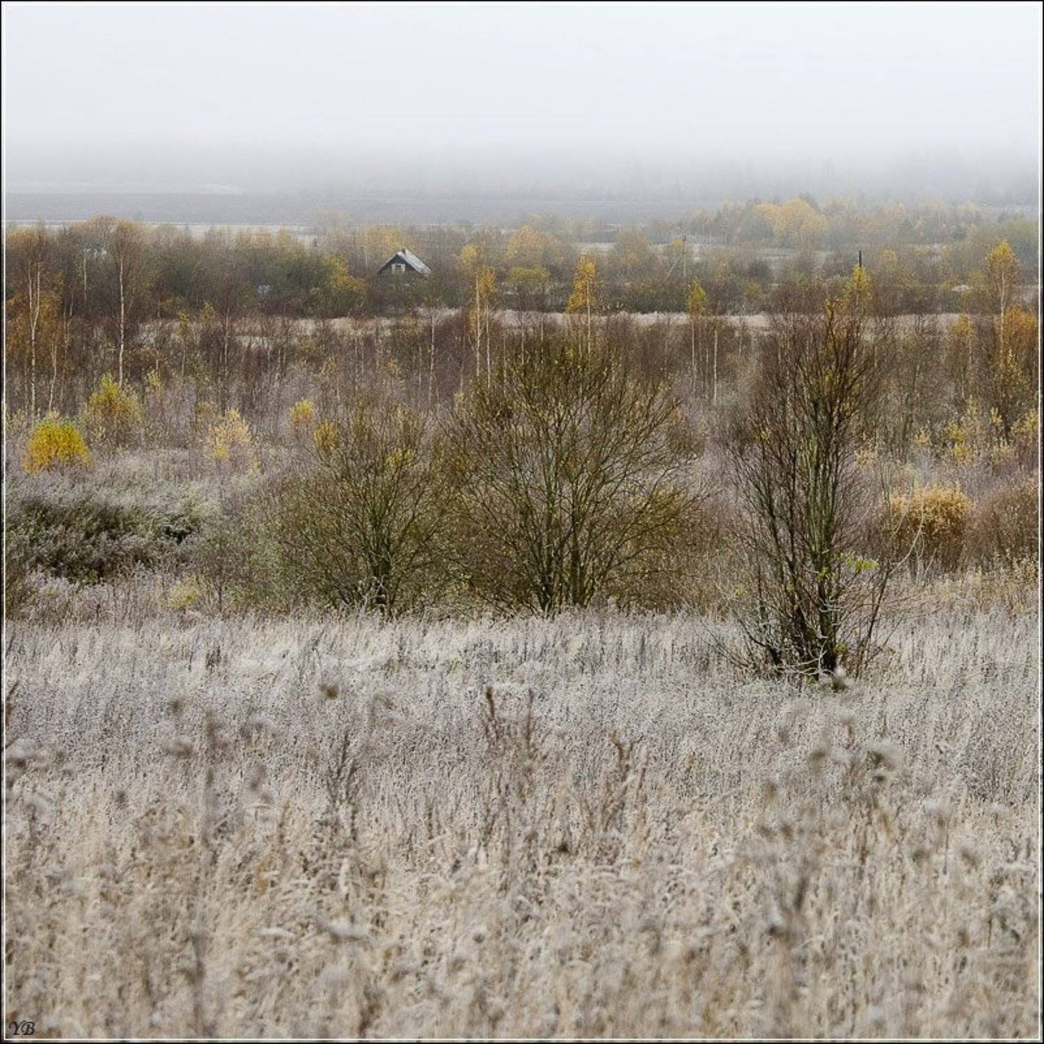 старая ладога, окулово, осень, иней, Братаев Юра