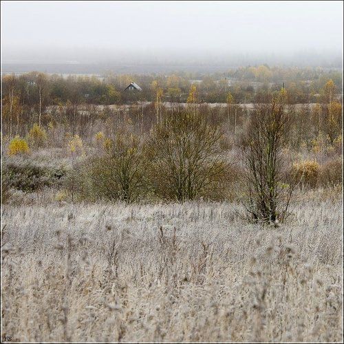 осенние перспективы