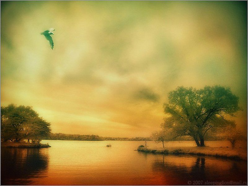 The view of silence фото превью