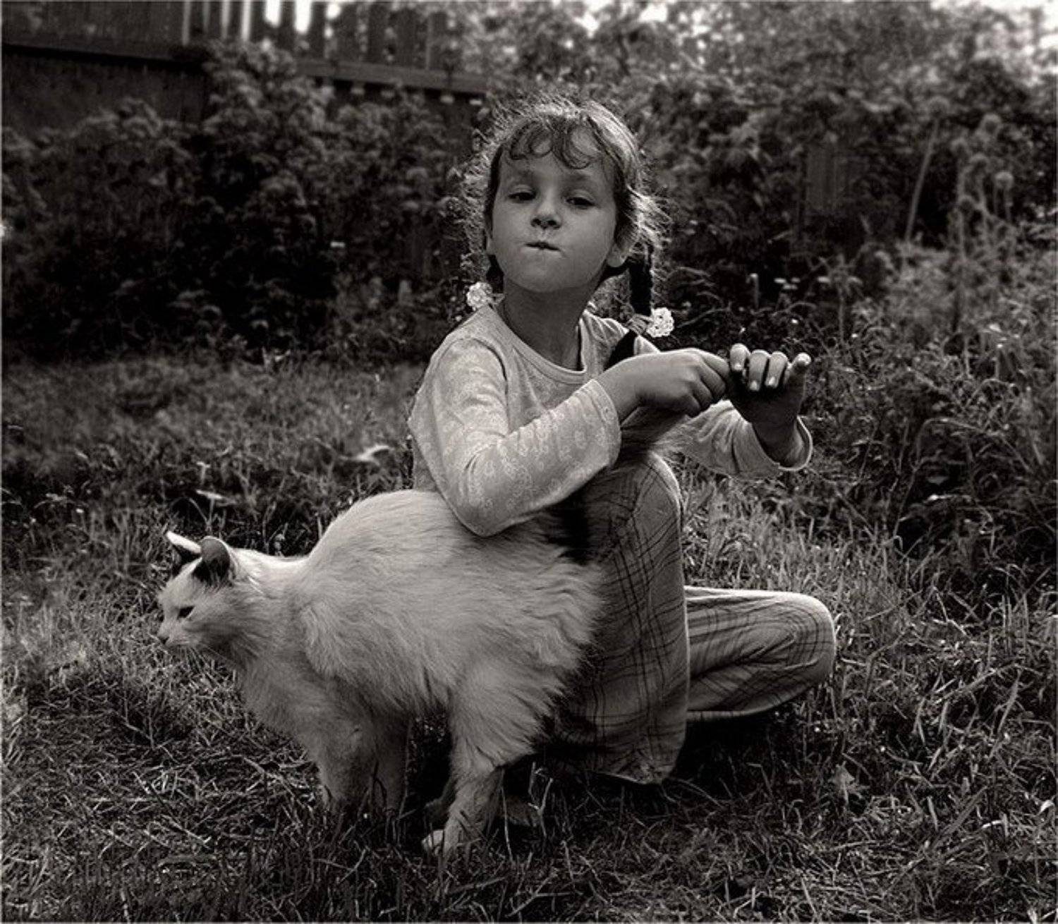 ульяна, кошка, Тарасова Катя