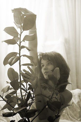 О любви к растениям...