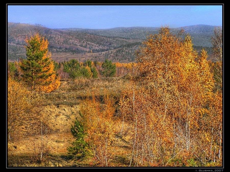 осень, бурятия, лес, горы, Игорь Глушко