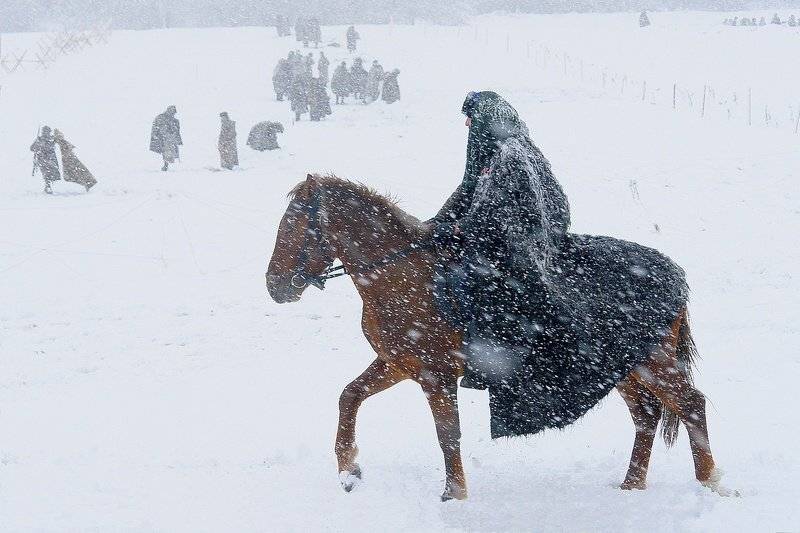всадники, лошади, война., senjor