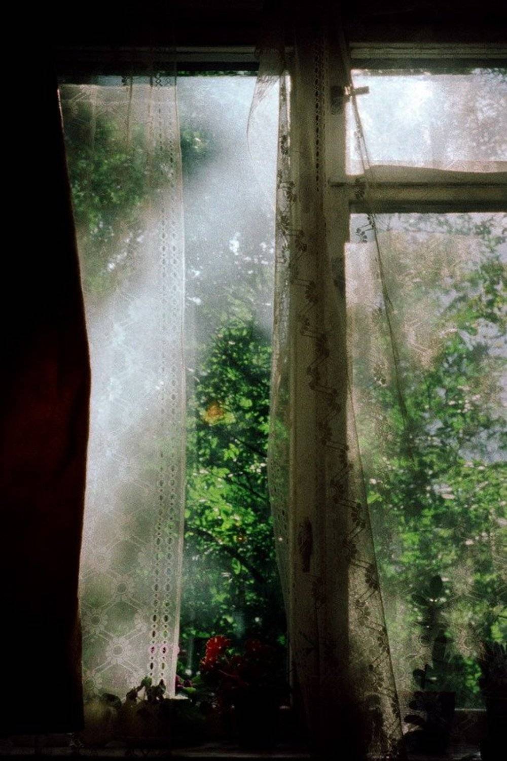 , Денис Хоменков