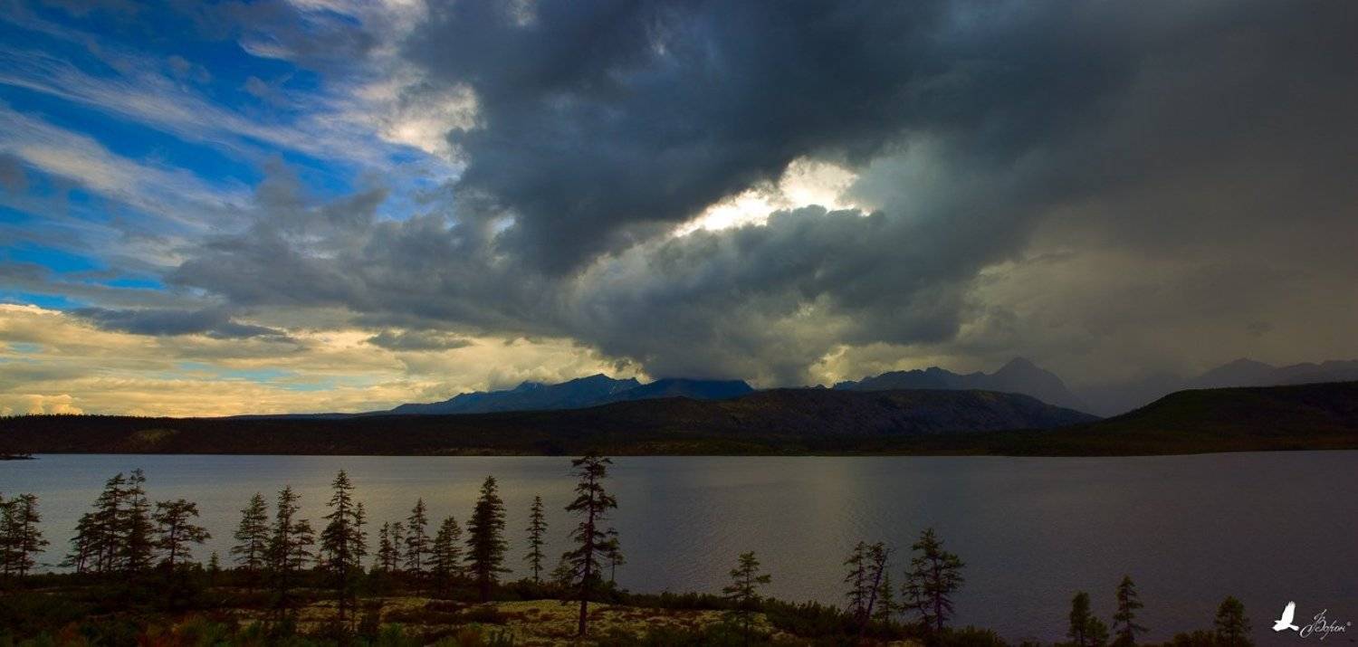 магадан, магаданская область, ягоднинский район, хребет черского, озеро джека лондона, дождь, Ворон