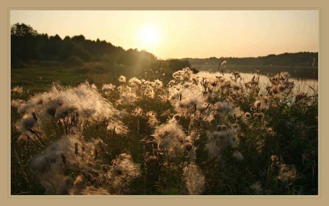 , Сергей Прокошин