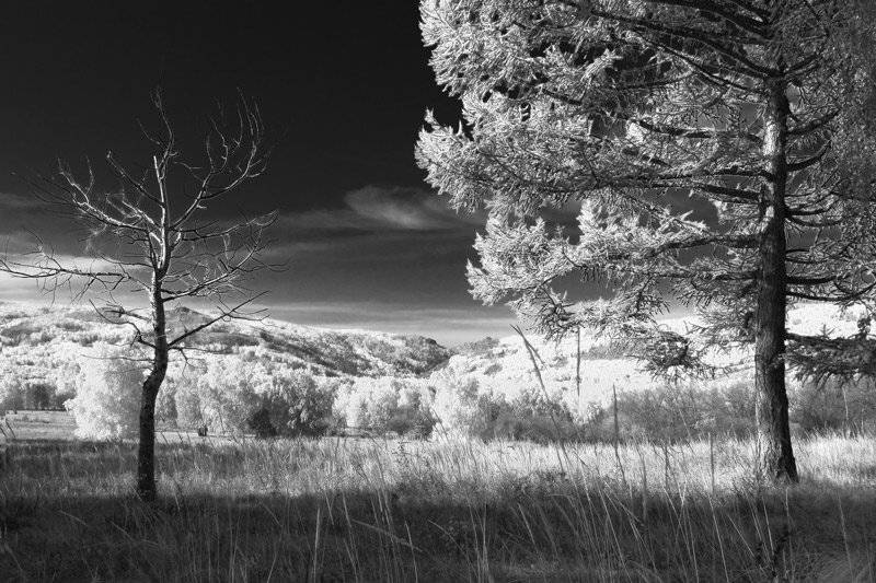 пейзаж,осень,ч/б, Качурин Алексей