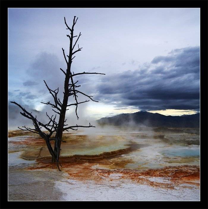 canary spring, mammoth hot springs, yellowstone., Vadim Balakin