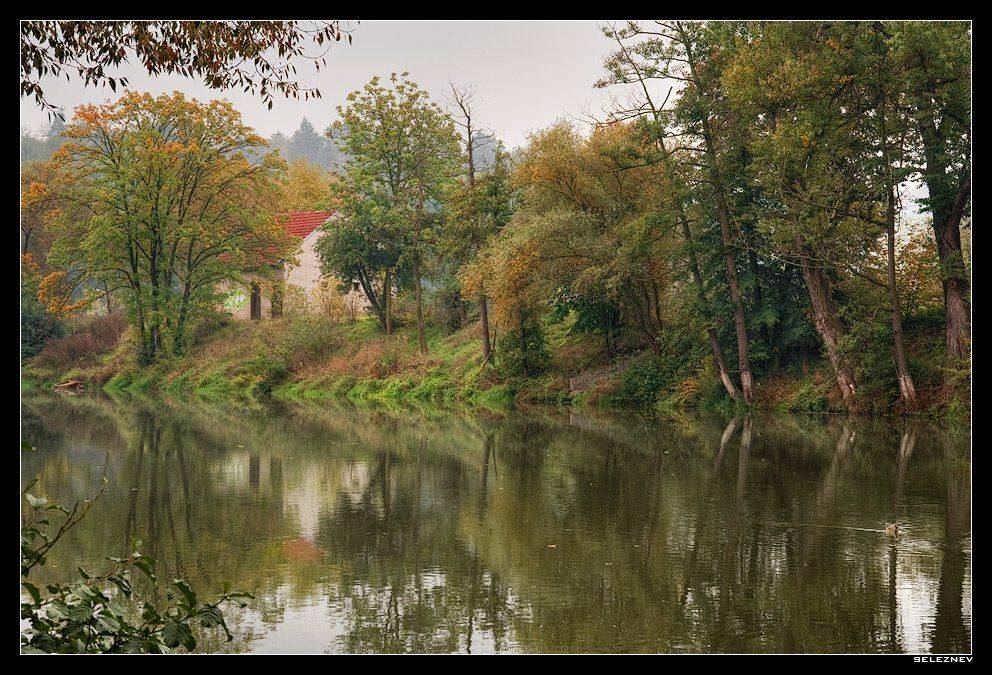 чехия, seleznev