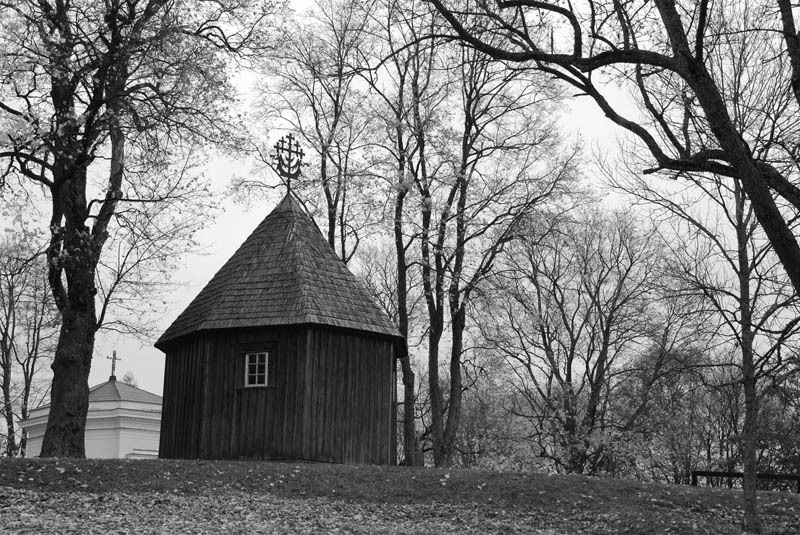 ... фото превью